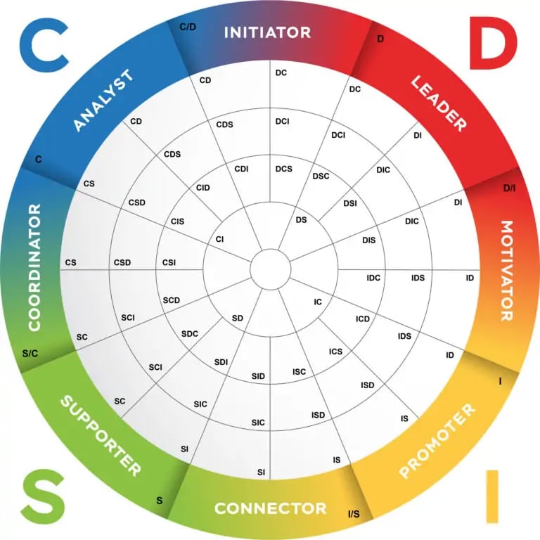 DISC Team Profile