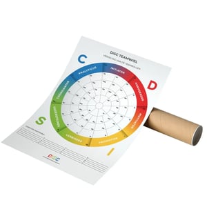 DISC teamwheel poster